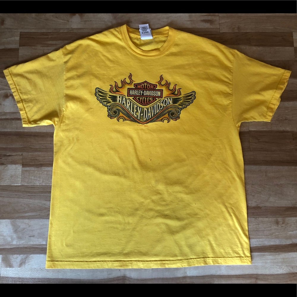 Vintage Harley Davidson shirt